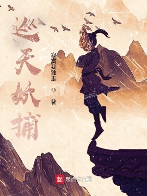 巡天种业农大372多少钱一袋
