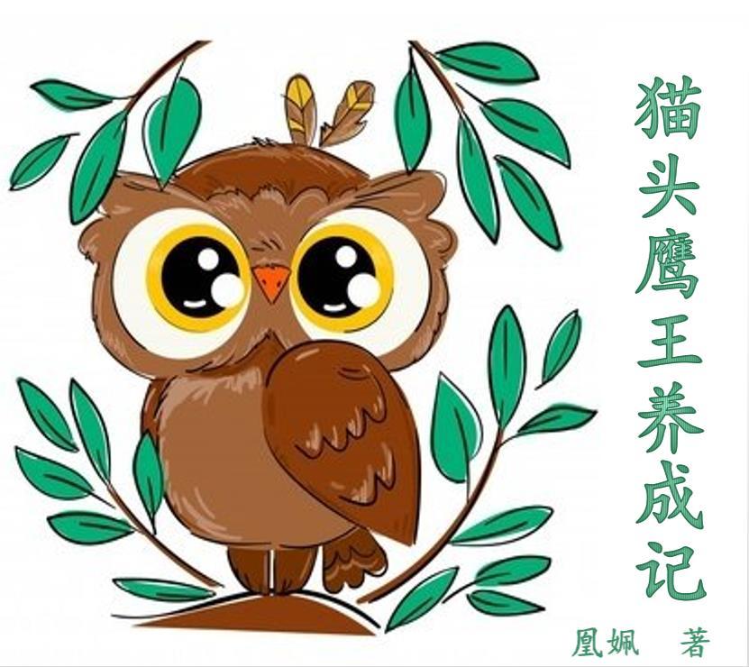 猫头鹰王国守卫者传奇完整版电影