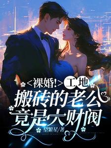 闪婚的搬砖老公竟是首富
