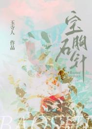 宝石胸针罗马假日
